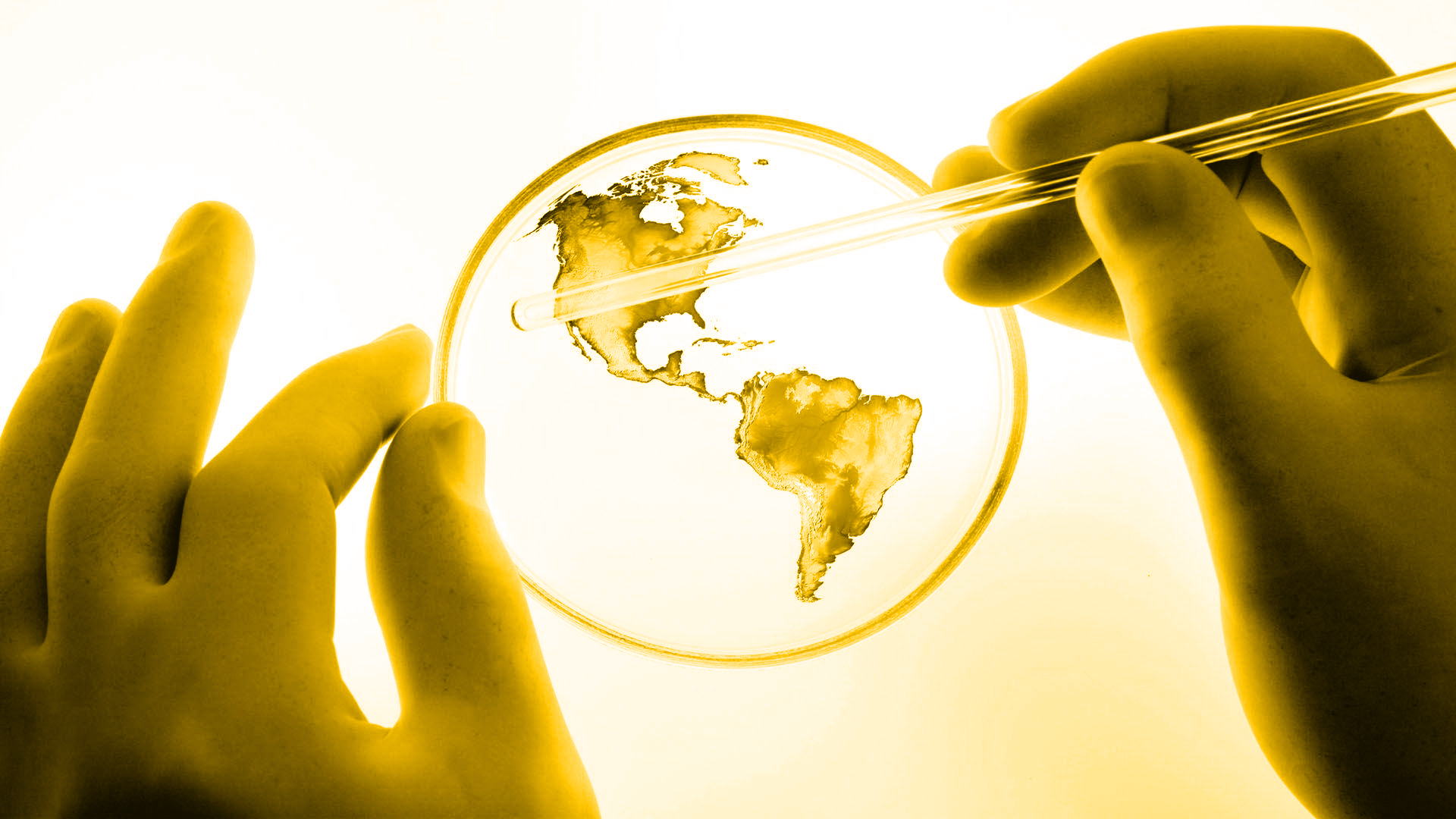 #htmlcaption1 Capitalize on our leadership Position in APIs in high-growth therapeutic areas